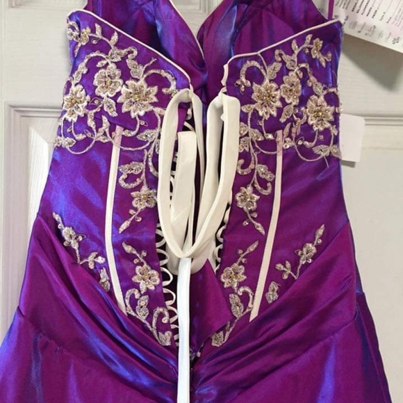 Brand New Never Worn Quince/Sweet 16 Dress - Picture 3 of 6